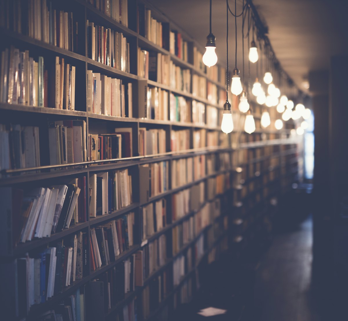 A dimly lit library aisle with bookshelves and hanging light bulbs.